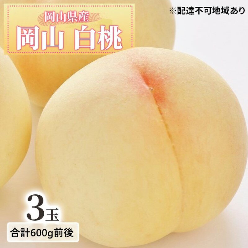 【ふるさと納税】桃 2026年 先行予約 白桃 3玉入り 合計600g前後 岡山県産もも モモ 岡山県産 国産 フルーツ 果物 ギフト 　お届け：2026年7月上旬～2026年8月中旬