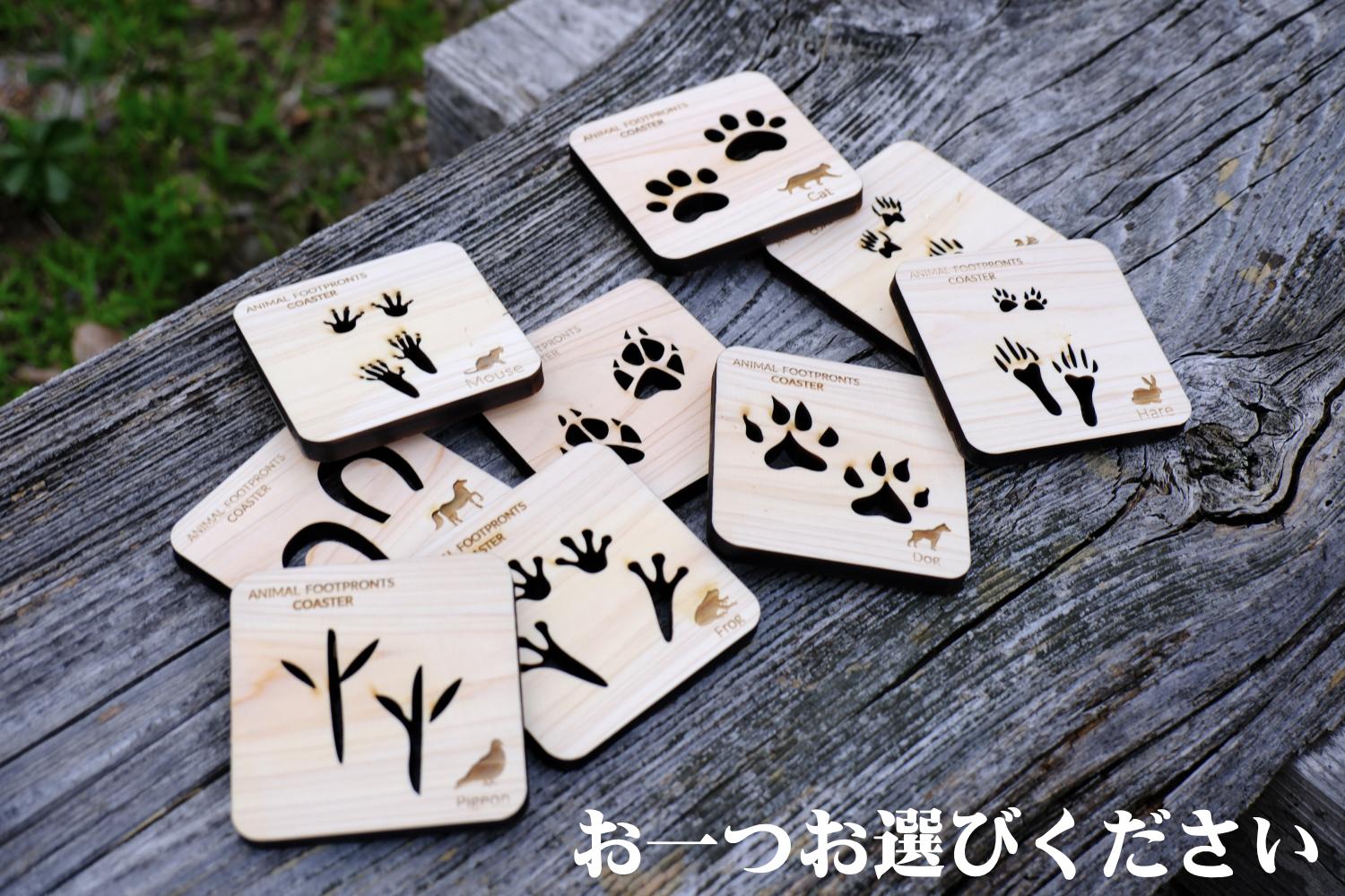 
                  森のコースター〈動物の足あと編〉
                