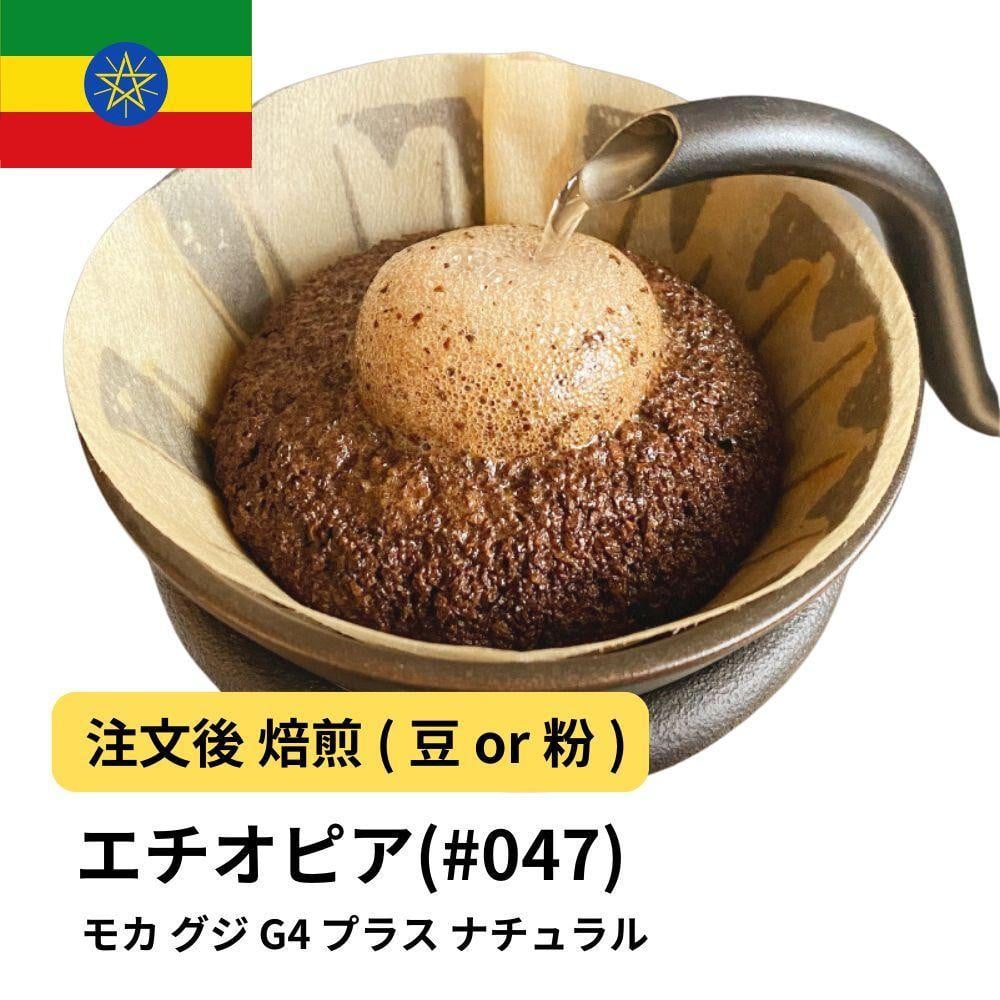 
            コーヒー #047 モカ グジ G4 プラス ナチュラル 310g 当日焙煎 大山珈琲 （豆または中挽きから選択）
          