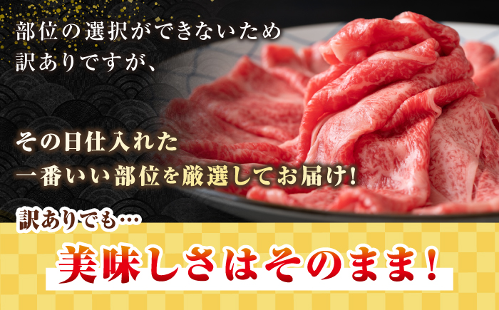 【訳あり】【A4〜A5ランク】 長崎和牛 しゃぶしゃぶ・すき焼きセット 750g《壱岐市》【株式会社MEAT PLUS】　肉 牛肉 黒毛和牛 鍋 ご褒美 冷凍配送 訳あり 切り落とし しゃぶしゃぶ用 