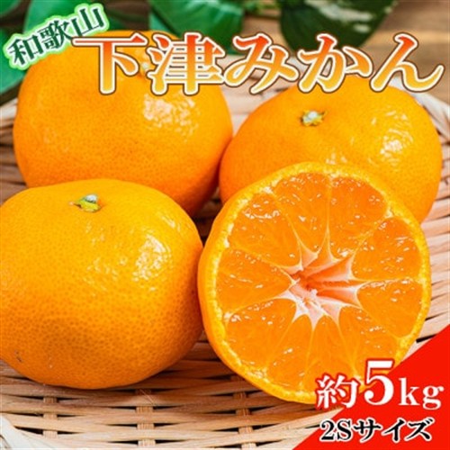 【産直・秀品】和歌山下津みかん約5kg(2Sサイズ)(九度山町)【1313753】