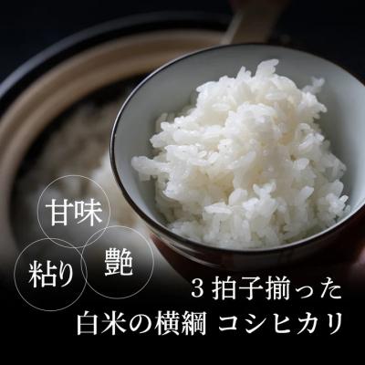 ふるさと納税 八頭町 因幡の白兎米 コシヒカリ 令和7年産 精米済 10kg(5kg×2袋) |  | 01