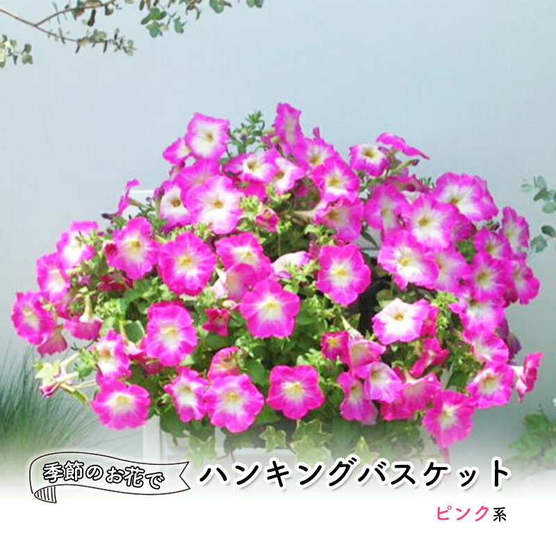 【ふるさと納税】花 季節のお花でハンキングバスケット ピンク系 植物 ガーデニング ガーデン インテリア　朝倉市