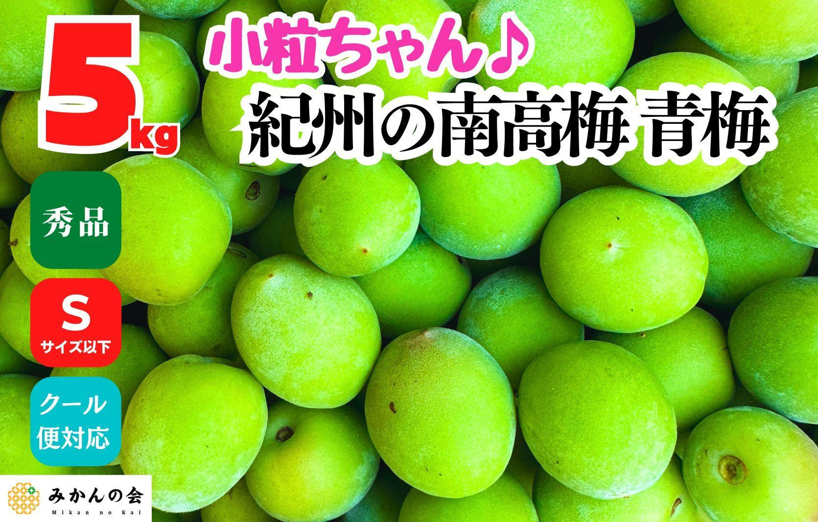 
                  [2025年6月上旬出荷]南高梅 青梅 秀品 小粒ちゃん 約5kg Sサイズ以下 和歌山県産 紀州有田 産地直送 クール便対応 梅酒作り用 梅ジュース作り用
                