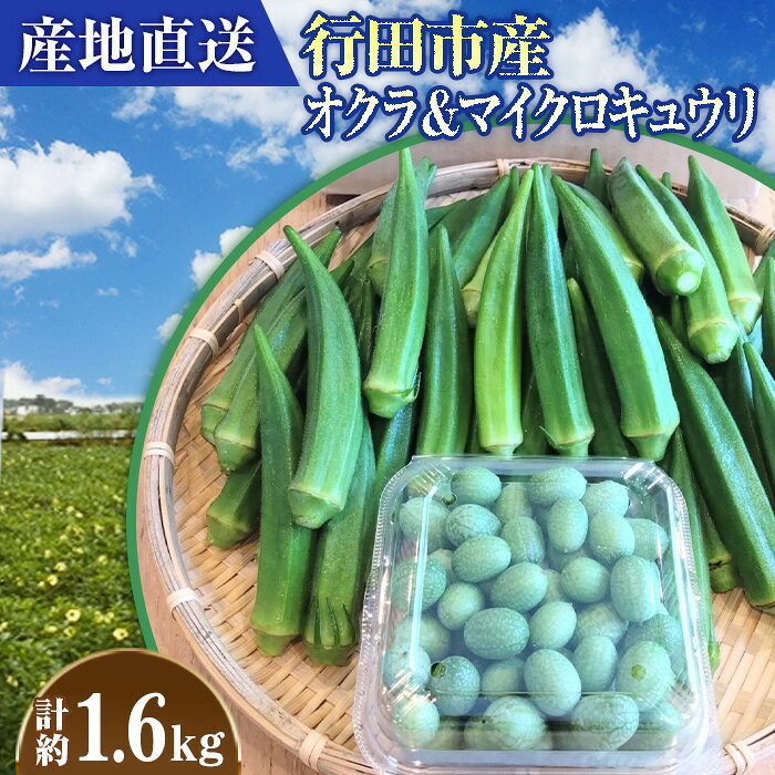 【ふるさと納税】【産地直送】行田市産オクラ＆マイクロキュウリ　計1600g ／ きゅうり 甘み サラダ 野菜 栄養 送料無料 埼玉県 No.397