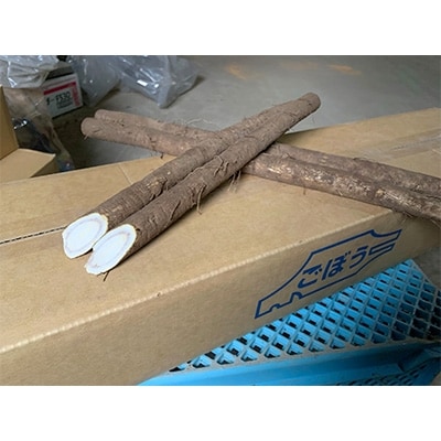 佐藤農場のごぼう＜10kg＞【配送不可地域：離島・沖縄県】