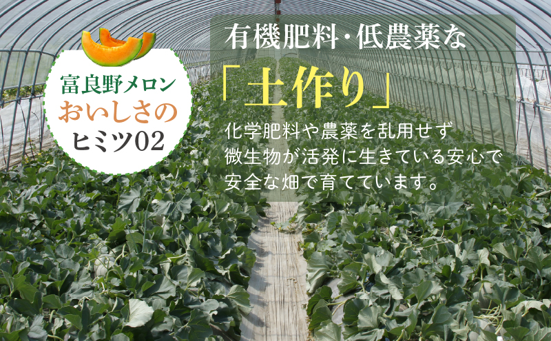 【2026年7月中旬～発送】※訳あり※ 富良野 メロン 約4kg〈2玉～4玉入り〉北海道 富良野市(スイートベジタブルファクトリー) メロン フルーツ 果物 新鮮 甘い 贈り物 ギフト 道産 ジューシ