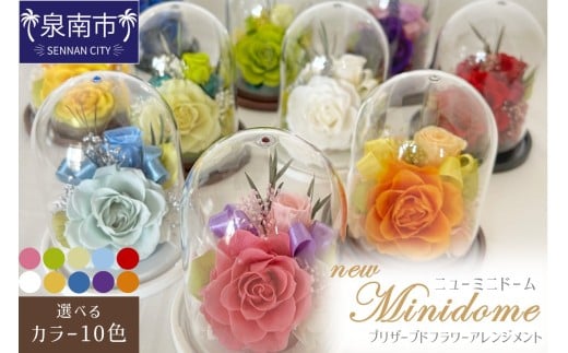 ニューミニドーム プリザーブドフラワー アレンジメント【023D-015】