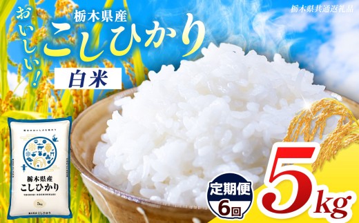 【栃木県共通返礼品】【先行予約】【令和8年度産】【定期6回】栃木県産コシヒカリ 5kg |定期便 選べる ふるさと 納税 コシヒカリ お米 精米 白米 玄米 大粒 共通返礼品 送料無料 那珂川町 栃木県