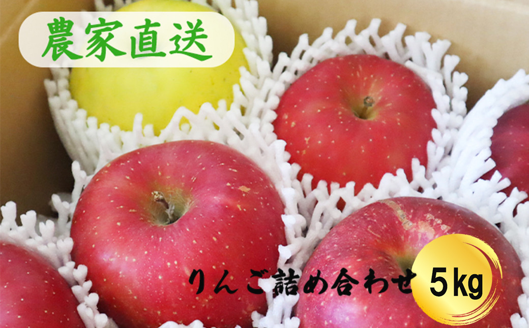 
                  りんごミックス 贈答用 詰め合わせ（約5kg） 【798】
                