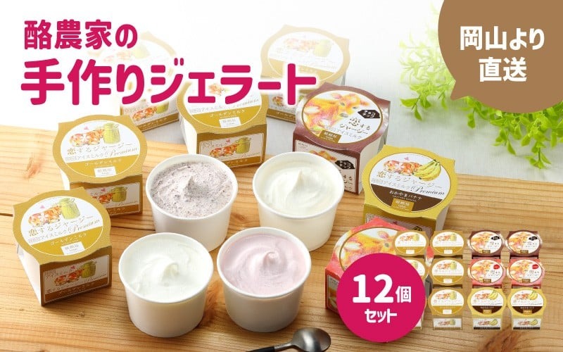 醍醐桜 恋するジャージージェラート 12個入 F / ジャージー牛100％使用 酪農家のジェラート 贈り物 プレゼント ジャージー ギフト スイーツセット 贈答 冷凍 子供から大人まで 人気 贅沢 ミルク バナナ いちご チョコチップ 【配送不可地域：北海道／沖縄県／離島】 daigozakura20 【jujy020-01】