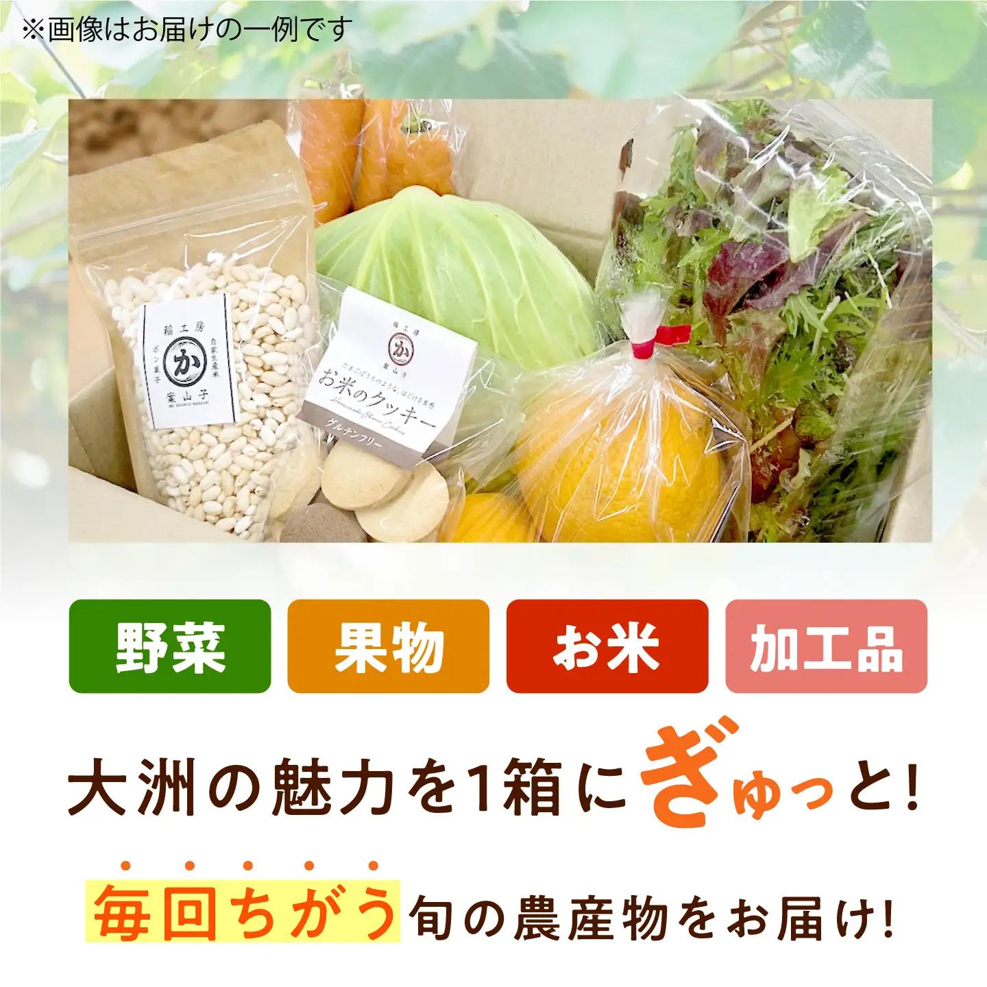野菜【全6回定期便】【隔月】旬の農産物 野菜[AGBL001]