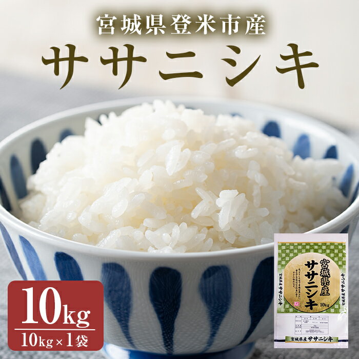 【ふるさと納税】≪令和7年産≫ササニシキ 精米 10kg(10kg×1袋) 登米市産 米 お米 おこめ ごはん ご飯 白米 おにぎり お弁当 ささにしき 10kg 【宮城商事株式会社】tm464