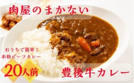 1794R_肉屋のまかない豊後牛カレー4.6kg（230g×20P）