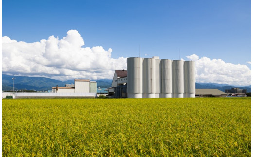 米 10kg  コシヒカリ 令和7年産 JA上伊那 新米 コシヒカリ 今ずり米 5kg 2袋 長野 上伊那産 お米 長野県産 こしひかり 10キロ 白米 精米 信州産 特産 産地直送 おすすめ こめ 