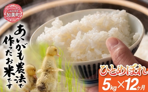 【定期便12回】令和8年産 特別栽培米 あいがも農法でつくったひとめぼれ 5kg×12回 [カメイ 宮城県 加美町] お米 こめ コメ 精米 白米 ひとめぼれ | km-ag-hb05-t12-r8