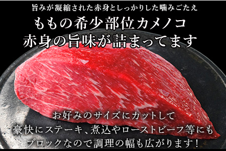 《プロシリーズ》佐賀牛赤身の極み”希少部位カメノコ”ブロック1kg ステーキ