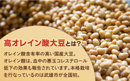 【6回定期便】からだにうれしい 米味噌 1kg（500g×2個）高オレイン酸大豆使用 なるせみそ /角味噌醤油 [UAX011] なるせみそ 味噌 みそ 米味噌 米みそ 味噌汁 大豆味噌 国産味噌 佐