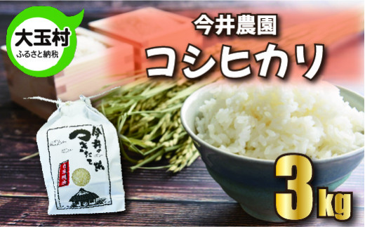 【 先行予約 】 【 令和6年産 ・ 新米 】 【 今井のつきたて米 】 コシヒカリ　３ｋｇ【OT08-001-R6】 福島県 大玉村 こしひかり 精米 今井農園