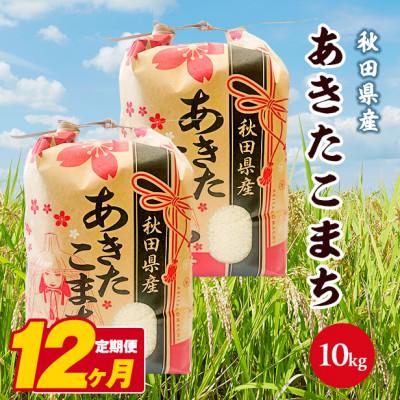 ふるさと納税 八郎潟町 【毎月定期便】あきたこまち 10kg(5kg×2袋)【白米】 秋田県産全12回