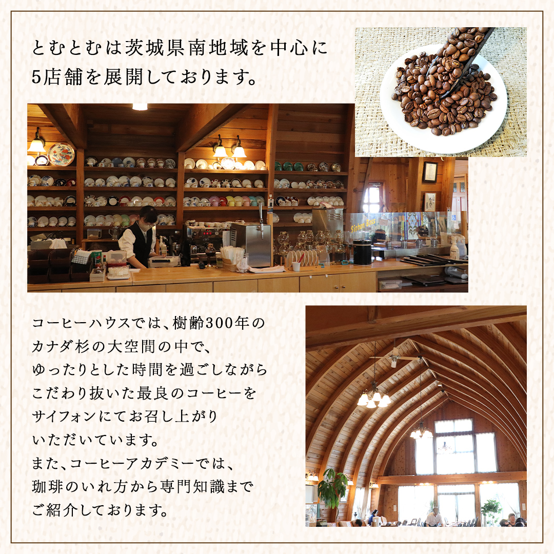 ≪ 熨斗付 ≫ 自家焙煎珈琲ドリップパック ( 3種 計24袋 ） 珈琲 自家焙煎 ブレンド おいしい 美味しい お取り寄せ セット お土産 贈り物 贈答 お祝い 記念日 ギフト プチギフト 茨城 と