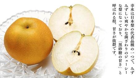 【 先行予約 】 茨城県産 梨 幸水 約5kg 13玉～14玉 【茨城県共通返礼品／常陸太田市】 桧山果樹園 農家直送 フルーツ 甘い 直送 茨城 限定 ギフト 梨 幸水 こうすい 果物 [DU002