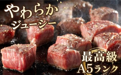 【全3回定期便】佐賀牛 ヒレ サイコロステーキ 500g(250g×2パック)【山下牛舎】 [HAD072]