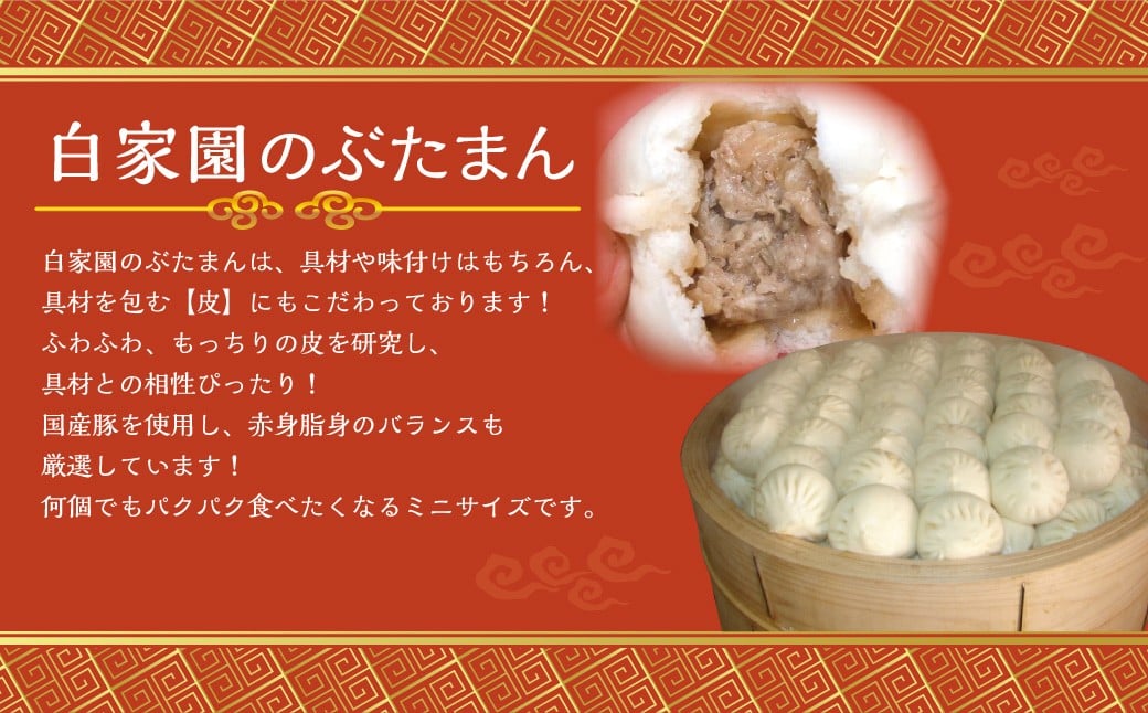 長崎ぶたまん 40個 豚まん ぶたまん 肉 豚肉 中華 中華料理 中華まん 惣菜 冷凍