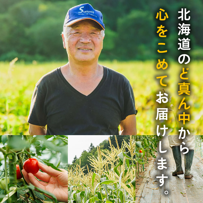 ＜期間限定＞天塩川源流スイートコーン 品種いろいろ詰め合わせ (10本) 【2026年8月下旬より順次発送】 北海道産 北海道 士別市 とうもろこし トウモロコシ とうきび コーン 野菜 産地直送 【三栄アグリ】【A7138】