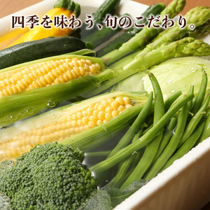 特選しばもん野菜セット　【 野菜 セット 通年 季節 旬 お楽しみ C16_01 】