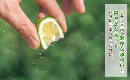 レモン 5kg コルレオファーム 国産 防腐剤 ・ ワックス 不使用 国産レモン 先行予約 青レモン れもん remon 檸檬 レモン果汁 酸味 果物 くだもの ビタミン サワー ジュース チューハイ
