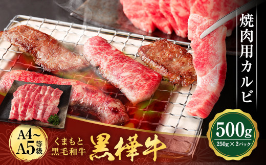 
くまもと黒毛和牛 杉本本店 黒樺牛 A4~A5等級 焼肉用カルビ 250g×2 計500g
