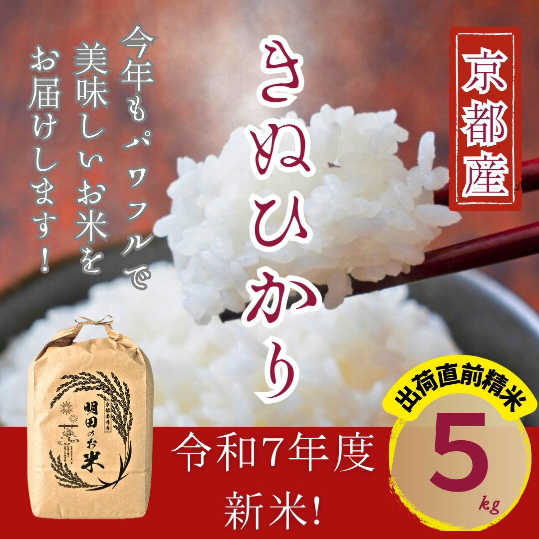 【ふるさと納税】令和7年産新米 キヌヒカリ 5kg (精米) 明田のお米　お届け：令和7年9月中旬～8年3月末
