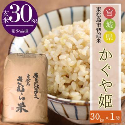 ふるさと納税 東松島市 【令和7年産】 新米 宮城県産 超稀少品種 かぐや姫 玄米 30kg  東松島市 天授のお米 米