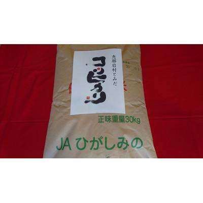 ふるさと納税 恵那市 恵那岩村とみだコシヒカリ玄米30kg |  | 01