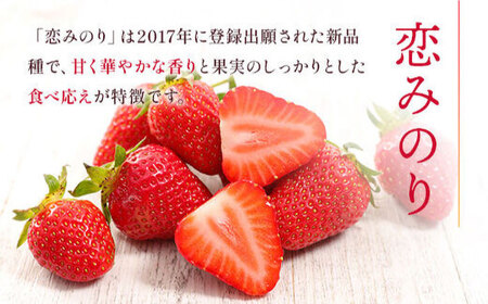 【先行予約】 ゆうべに・恋みのり 食べ比べセット 約1kg 果物いちご苺ZBG064