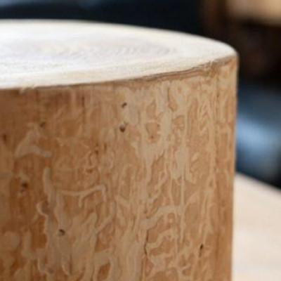 ふるさと納税 与謝野町 森の美しさを守る　与謝野スギの丸太こども椅子　自然素材のインテリア　京都丹後の杉でつくったスツール |  | 02