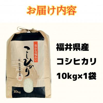 ふるさと納税 小浜市 令和7年産新米こしひかり10kg |  | 02