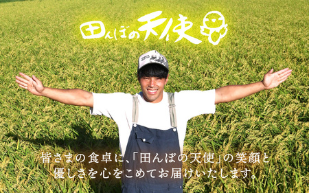 《6ヶ月定期便》農薬不使用こしひかり 10kg（5kg×2袋）×6ヶ月連続 計60kg  令和7年産 特別栽培米コシヒカリ【精米】福井県認証区分1取得「田んぼの天使」越前町【5キロ お米 コメ 農薬化