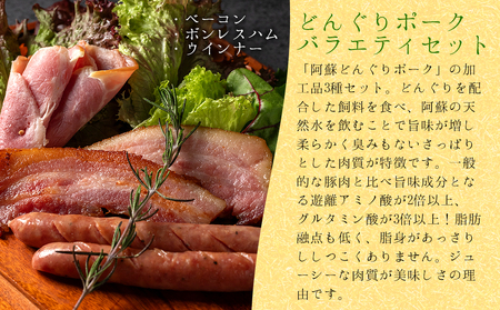 阿蘇を感じる阿蘇蔵サラダ野菜の朝食セット 新鮮野菜　阿蘇の味　健康的な食生活 詰め合わせ　野菜宅配 産地直送 採れたて 人気 美味しい 熊本 阿蘇