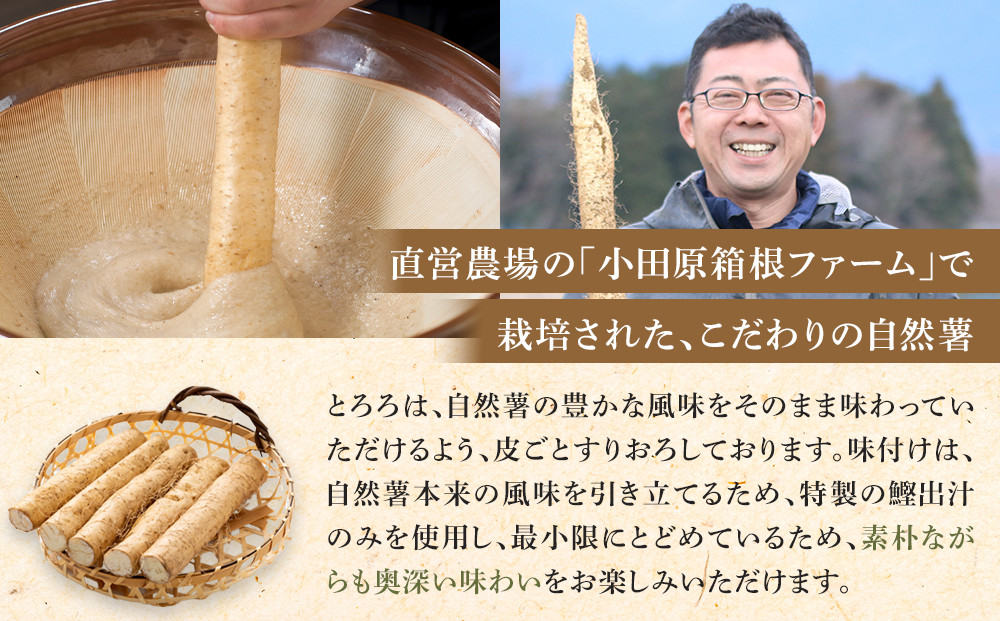 お店の味をご家庭で。【箱根自然薯の森 山薬】自然薯セット(2～3人前×2回分)【とろろ 極上とろろ 山芋 箱根 お家用 家庭用 国産 セット商品 自然薯 神奈川県 小田原市 】