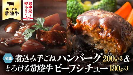 【お中元熨斗付き】【茨城県共通返礼品】常陸牛100％　煮込み手ごねハンバーグ（200g×3パック）とろける常陸牛ビーフシチュー（180g×3パック） 八千代町産 白菜 使用 ハンバーグ ビーフシチュー