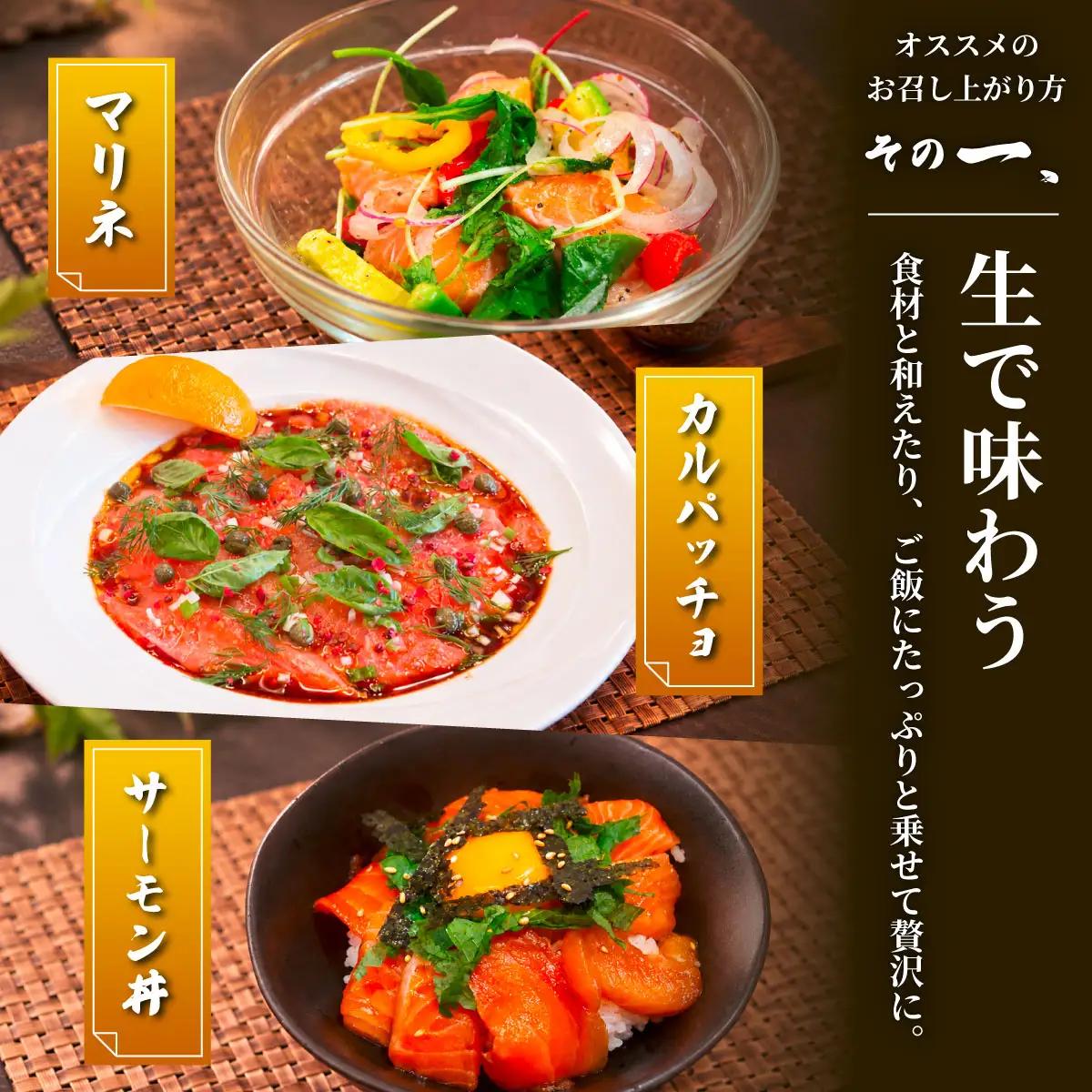 「陸上養殖」 北海桜サーモン ブロック 500g 冷凍 国産 北海道産 道産 松前産 トラウト サーモン 鮭 生鮭 刺身用 お刺身 生食用 柵 カルパッチョ サーモン丼 漬け丼 産地直送 お取り寄せ 