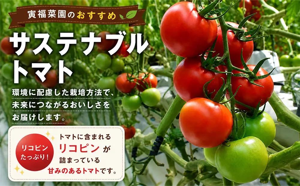 むつ市産　寅福菜園の「サステナブルトマト」4㎏