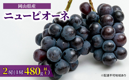 【先行予約】岡山県産 ニューピオーネ 2房（1房480g以上）約1kg 【2025年8月下旬-10月上旬 発送予定】化粧箱入り【 ニューピオーネ 人気フルーツ 岡山フルーツ おすすめフルーツ 岡山県 倉敷市】