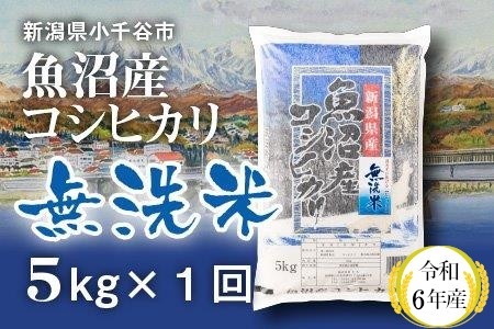 令和6年産 無洗米 魚沼産コシヒカリ 5kg 白米 米太 /無洗米 無洗米 無洗米 無洗米