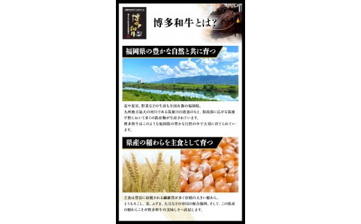 A4・A5等級のみ使用 博多和牛 ヒレステーキ 300g（100g×3枚）ヒレ 希少部位《30日以内に出荷予定(土日祝除く)》 牛肉---sc_fckzhwhs_30d_22_31500_3p---