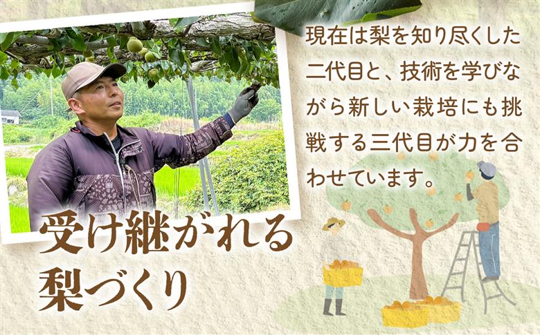 【先行予約】福島県いわき市産 梨(豊水) 約5kg | 梨 豊水 いわき市産 長谷川梨園 約5kg 先行予約 期間限定 果物 フルーツ 和梨 国産 新鮮 産地直送 甘い 濃厚果汁 ジューシー 瑞々しい