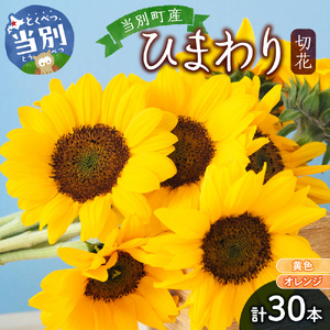 ひまわり 切花 30本 黄色 オレンジ 四季農場《6月上旬-9月下頃出荷》北海道 当別町 花 お花 はな ひまわり 夏 切り花 冷蔵便 北海道産 当別町産 インテリア