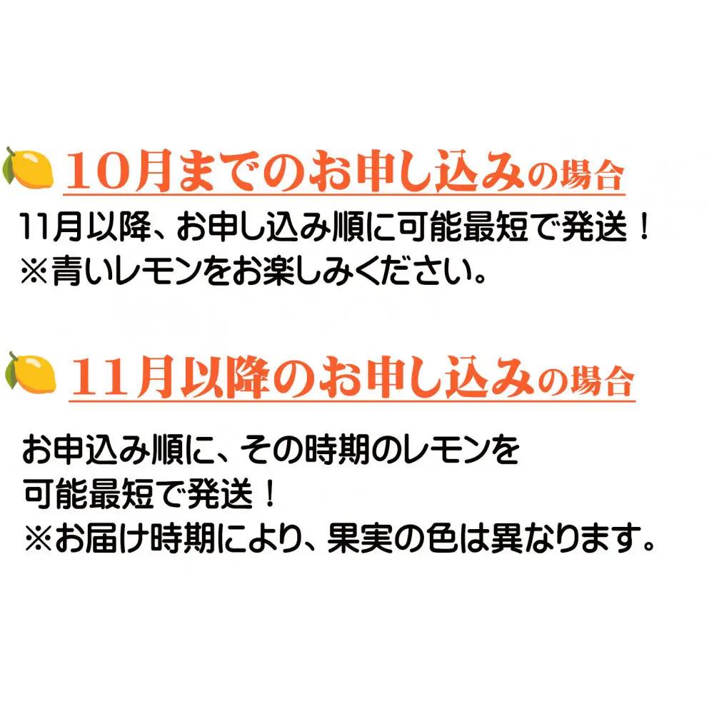 レモン 約5kg 大小混合サイズ ちょっと訳あり 11月～2月に鈴木みかん農園より農園直送！ 青いレモン 黄色いレモン ※北海道・沖縄・離島への配送不可